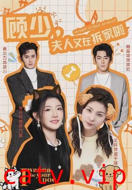 顾少，夫人又在拆家啦